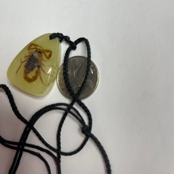 Insect pendant necklace on black cord gothic unusual jewelry costume - Picture 2 of 14